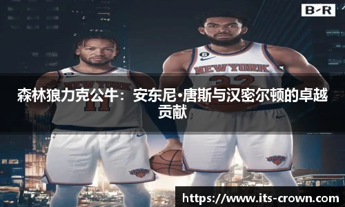 森林狼力克公牛：安东尼·唐斯与汉密尔顿的卓越贡献